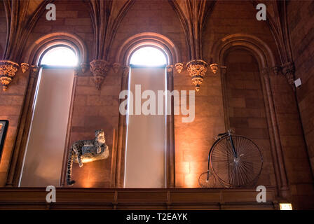 Leopard and bicycle. Display in Smithsonian, Washington, DC Stock Photo