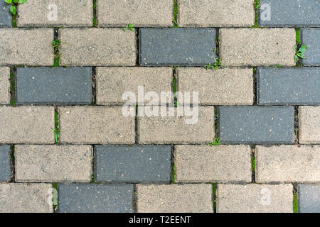 Beautiful background of multi-colored tiles. Stock Photo