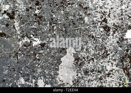 old concrete wall with traces of destruction and mold Stock Photo