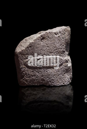 Fragment of a Late European Neolithic prehistoric Menhir standing stone with acarving of a horizontal knife on its face side.   Excavated from Montes  Stock Photo