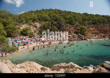 Cala Salada, Ibiza beach Stock Photo