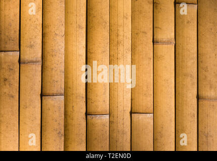 Yellow Bamboo cane wall as background Stock Photo
