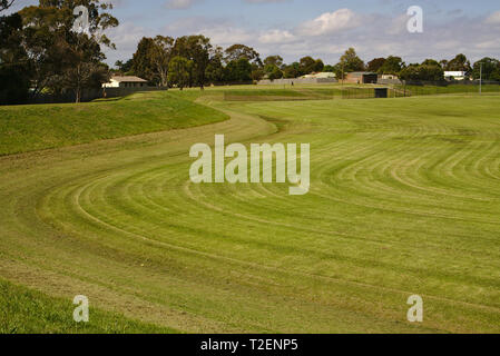Distant view of freshly mowed lawn on sunny day Stock Photo