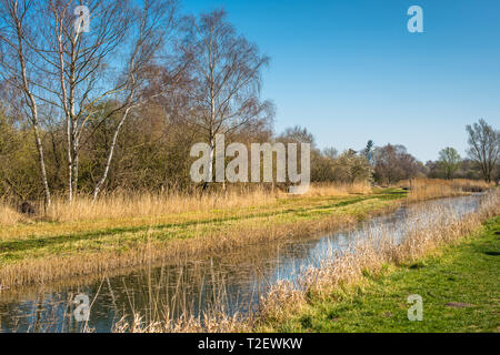 Burwell Lode waterway on Wicken Fen nature reserve, Cambridgeshire; England; UK Stock Photo