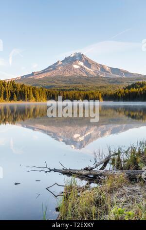 Reflection of the volcano Mt. Hood in Lake Trillium Lake, morning mood, Oregon, USA Stock Photo