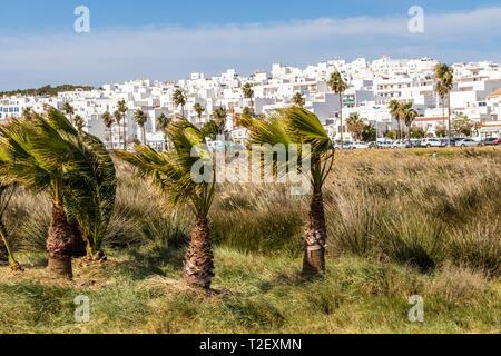 Conil de la Frontera. Costa de la Luz. White Town, Cadiz Province.  Andalucia. Spain Stock Photo - Alamy