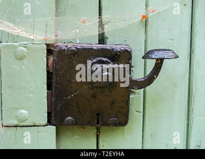 Old door lock with metal bag handle on green wooden door, with spider web, Germany Stock Photo