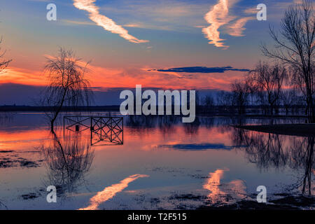 Beautiful sunset on a growth lake surrounded by trees in the spring with a single flooded tree and a fence in the foreground Stock Photo