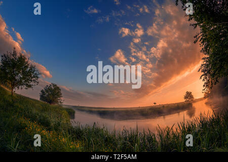 Splendid morning scene on a river meander in a natural landscape with lot of fog and steam at sunrise with wild yellow flowers in the foreground Stock Photo