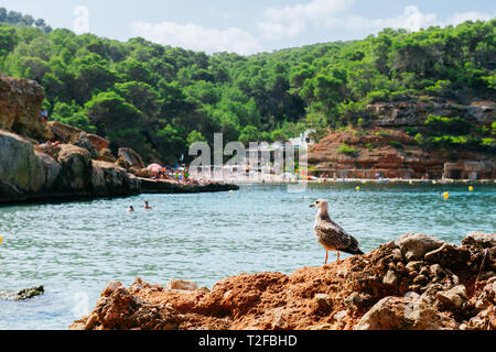 Cala Salada, Ibiza beach Stock Photo