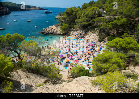 Cala Salada, Ibiza beach Stock Photo