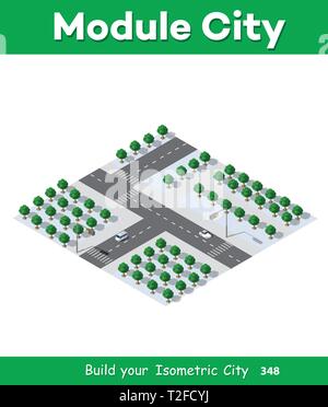 Isometric 3d park with a green tree of summer nature forest landscape, outdoor flat city street of isolated objects. Vector illustration natural eleme Stock Vector