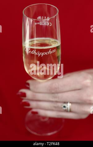 Leipzig, Germany. 02nd Apr, 2019. A woman holds a glass of Little Red Riding Hood sparkling wine at the annual press conference of Rotkäppchen-Mumm Sektkellereien GmbH Glas. The company provided information on the business figures for 2018 and gave an outlook for the 2019 financial year. Credit: Peter Endig/dpa/Alamy Live News Stock Photo
