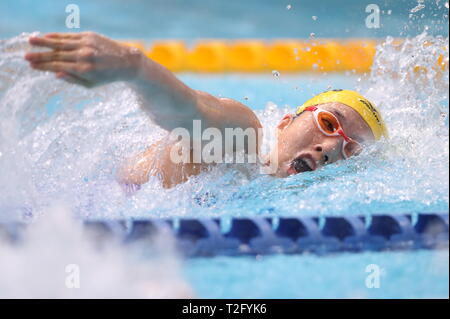 Chinatsu Sato, APRIL 3, 2019 - Swimming : Japan Swimming