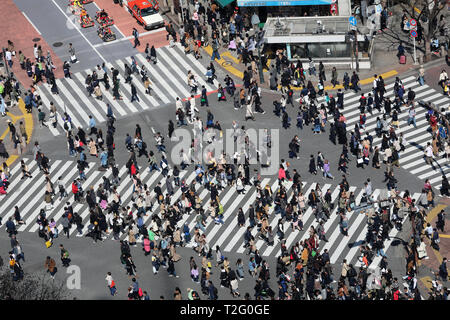 Crowds crossing the Shibuya pedestrian crossing in Shibuya, Tokyo, Japan Stock Photo