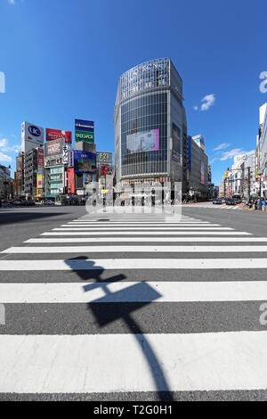 Empty Shibuya pedestrian crossing in Shibuya with shadow