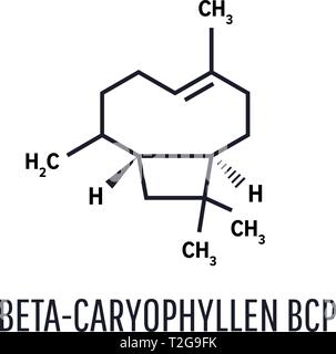 Caryophyllene molecule. Skeletal formula. Constituent of multiple herbal essential oils Stock Vector