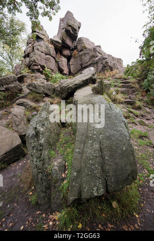 Gritstone outcrop in woodland near Gradbach, Staffordshire, England. Popular walking area in the Dane Valley, close to the Roaches. Stock Photo