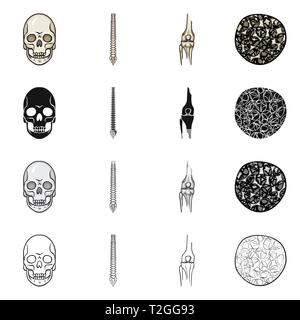 skull,spine,femur,osteoporosis,death,chiropractic,bony,cell,monster ...