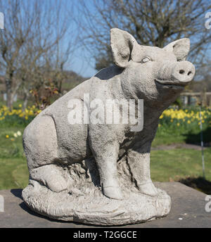 Stone Pig Garden Ornament Stock Photo