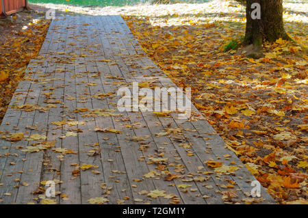 yellow fallen leaves on a wooden path, sidewalk in autumn Stock Photo