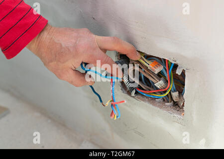 Electricians hand holding electric wires, electric socket on the wall - renovation, in construction, new apartment Stock Photo