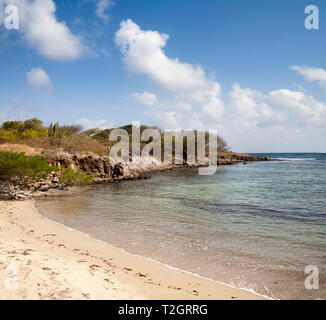 Etang des Salines,nature reserve at pointe Sud near saint Anne in the french Carribean island of Martinique. Stock Photo