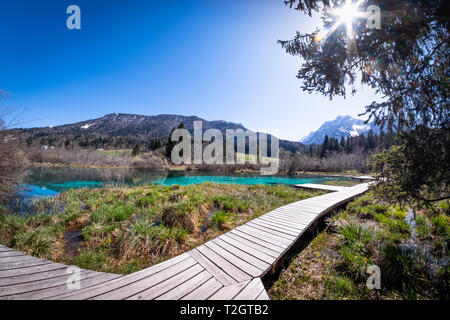 Lake Zelenci, source of the Sava Dolinka River, with the observation trail footbridge and ponce mountains in nature reserve near the town of Kranjska  Stock Photo