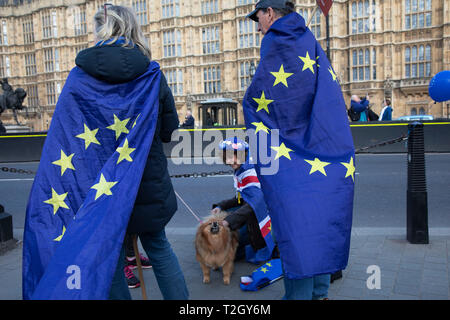 Anti Brexit pro Europe demonstration in Westminster on 27th March 2019 in London, England, United Kingdom. With the date of the UK leaving the European Union extended, the pro EU protest continues as MPs from all sides try to gain control of the process, as they debate the various options in the commons. Stock Photo