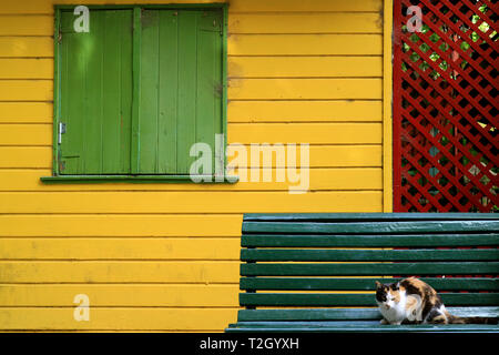Dark blue wooden bench with a Calico cat in front of colorful house outer wall, La Boca, Buenos Aires, Argentina Stock Photo