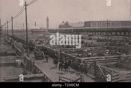 Union stock yards Stock Photo - Alamy