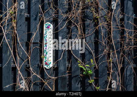 White exterior thermometer, with painted birds and butterflies on a dark wooden fence, with climbing (scandent) plant vines around it and a few green  Stock Photo