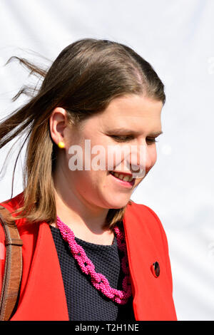 Jo Swinson MP (Liberal Democrat: East Dunbartonshire)  on College Green, Westminster, March 29th 2019 Stock Photo