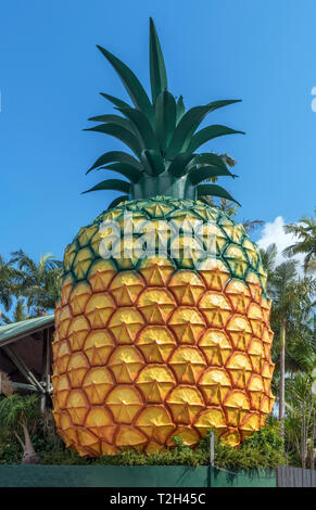 The Big Pineapple, a roadside attraction on the Bruce Highway in Queensland, Australia Stock Photo