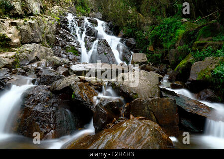 Beautiful natural water fall into the interior of andean forest in a stream called Miraflores located in the mountains. Stock Photo