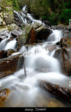 Beautiful natural water fall into the interior of andean forest in a stream called Miraflores located in the mountains. Stock Photo