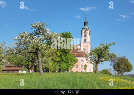 Pilgrimage Church and Birnau Monastery, Unteruhldingen, Lake Constance Region, Baden-Wurttemberg, Germany Stock Photo