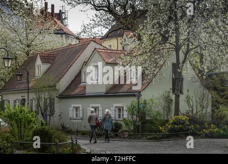 Historical Hostels, Preysingstrasse, Haidhausen, Munich, Bavaria, Germany Stock Photo