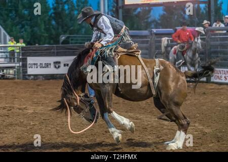 Cowboy riding a bucking horse, Rodeo, Heber City, Utah, USA Stock Photo