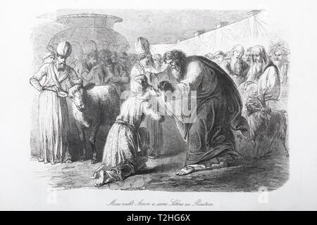 Moses consecrates Aaron and his sons to priests, Historical Illustration in an Old Bible, Old Testament, Holy Scripture, Germany Stock Photo