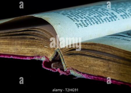 Opened old book, Germany Stock Photo