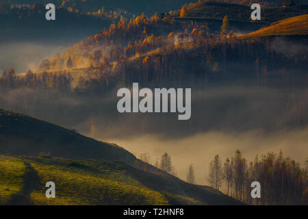 Fog passing through a valley after sunrise with beautiful autumn colored forest shot in Romania Stock Photo