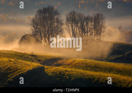 Small village house in Romania surrounded by fog on an autumn morning with a forest in the background Stock Photo