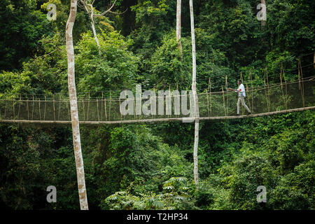 Man walking on Canopy Walkway through tropical rainforest in Kakum National Park, Ghana, Africa Stock Photo