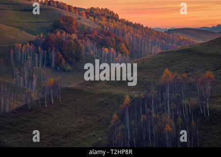 Autumn colored forest on a hill at sunset with a beautiful vista over the hills and with a vibrant sky in the background Stock Photo