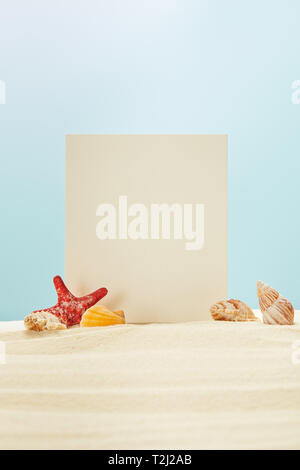 red starfish and seashells near blank placard on sand isolated on blue Stock Photo