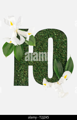 cut out letter from cyrillic alphabet made of natural green grass with leaves and white flowers isolated on white Stock Photo