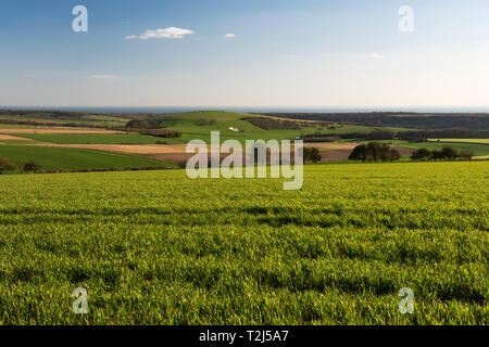 A view towards Worthing from the South Downs near Kithurst Hill on an early spring afternoon, West Sussex, England, UK Stock Photo