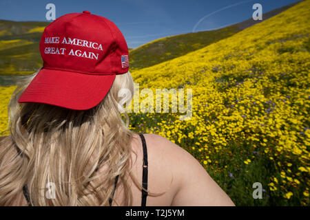Taft, California - March 25, 2019: Blonde woman wearing a Donald Trump Make America Great Again hat, sitting in a field of yellow wildflowers. Concept Stock Photo