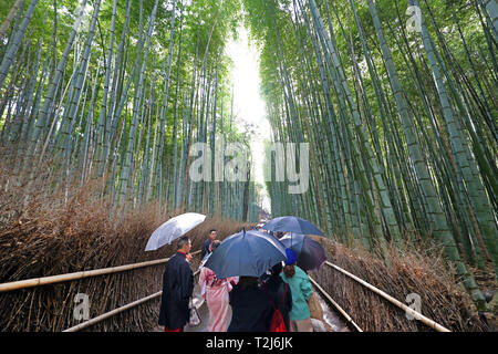 Tall Bamboo stalks in the Arashiyama Bamboo Grove, Kyoto, Japan Stock Photo